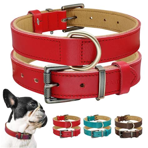 luxury leather dog collar.